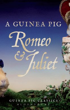 A Guinea Pig Romeo & Juliet