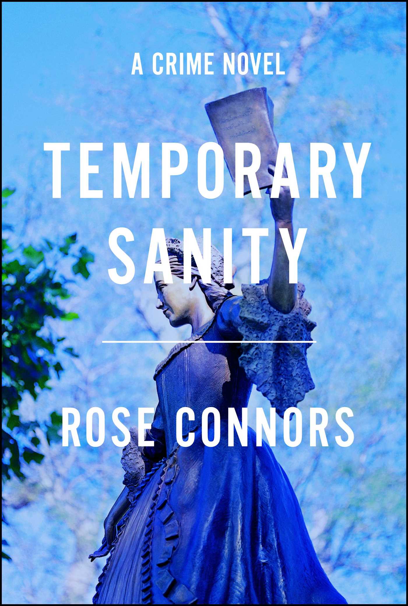 Temporary Sanity A Crime Novel