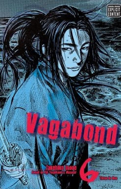 Vagabond (VIZBIG Edition), Vol. 6