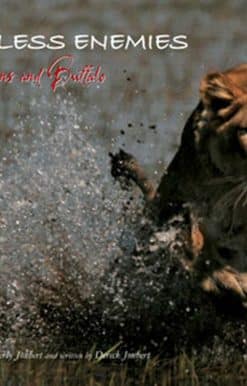 Relentless Enemies: Lions and Buffalo