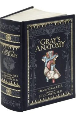 Gray's Anatomy (Barnes & Noble Collectible Editions)