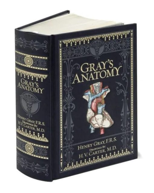 Gray's Anatomy (Barnes & Noble Collectible Editions)