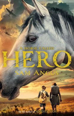A Horse Called Hero