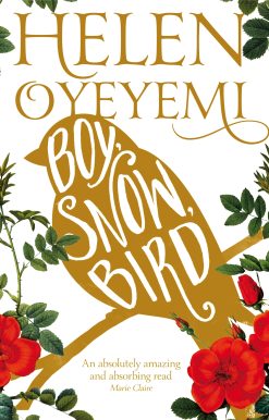 Boy, Snow, Bird