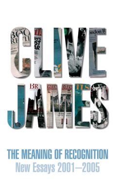 The Meaning of Recognition