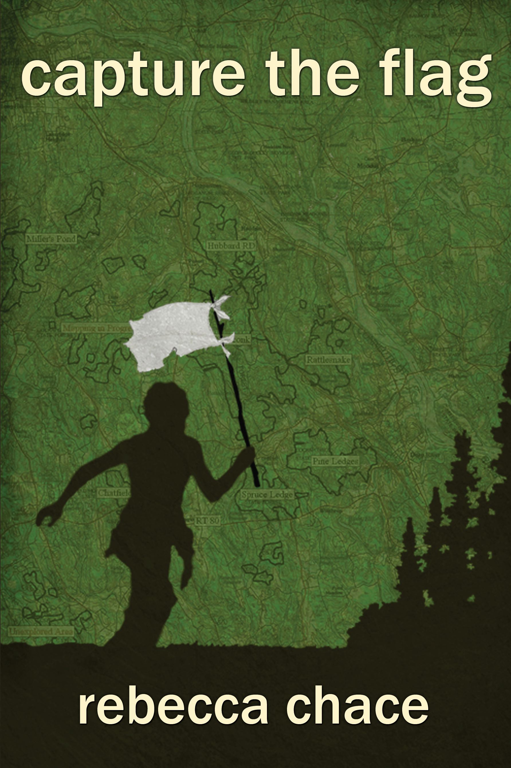 Capture the Flag: A Novel