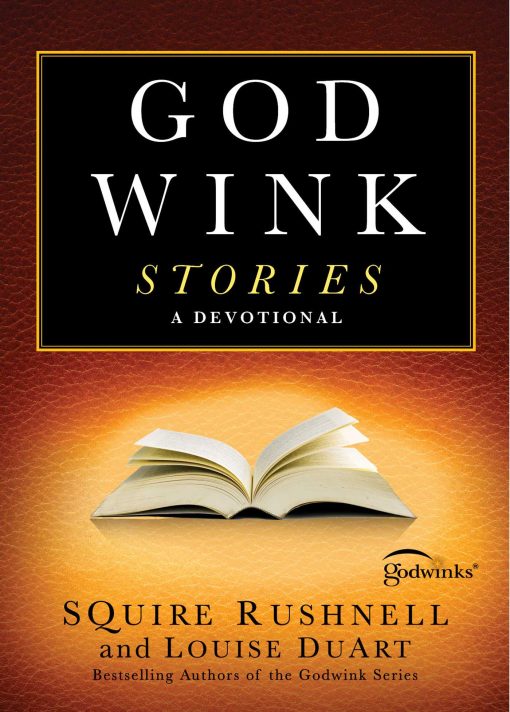 Godwink Stories: A Devotional