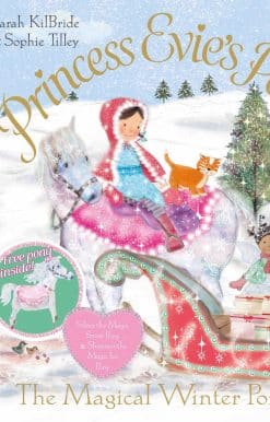 Princess Evie's Ponies: The Magical Winter Ponies