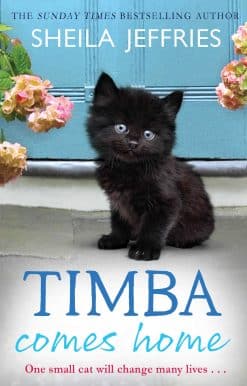 Timba Comes Home