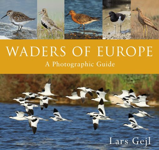 Waders of Europe