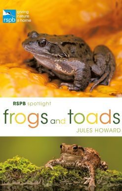 RSPB Spotlight Frogs and Toads