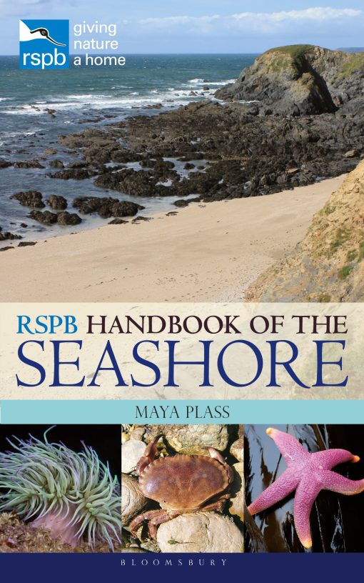 RSPB Handbook of the Seashore