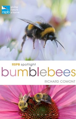 RSPB Spotlight Bumblebees