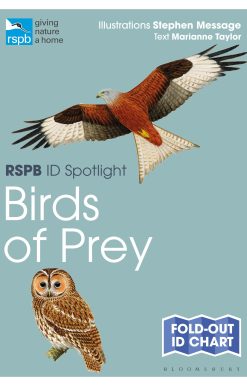 RSPB ID Spotlight - Birds of Prey