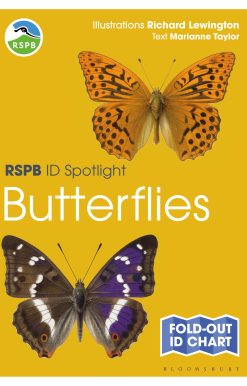 RSPB ID Spotlight - Butterflies
