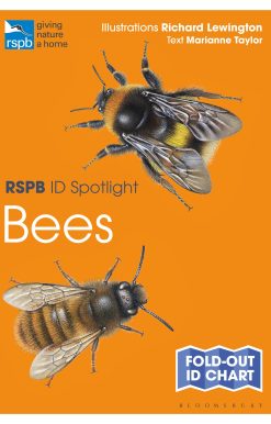 RSPB ID Spotlight - Bees