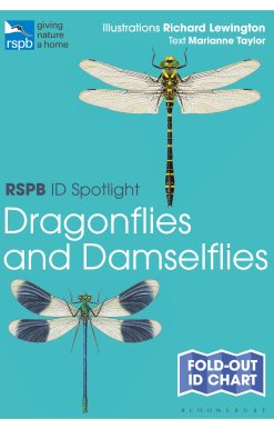 RSPB ID Spotlight - Dragonflies and Damselflies