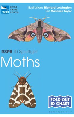 RSPB ID Spotlight - Moths