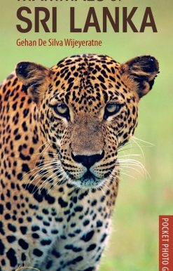 Mammals of Sri Lanka