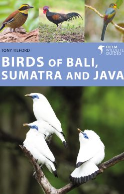 Birds of Bali, Sumatra and Java