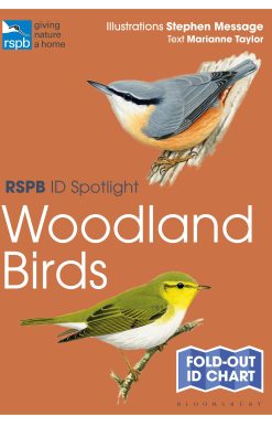 RSPB ID Spotlight - Woodland Birds