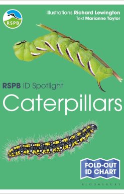 RSPB ID Spotlight - Caterpillars