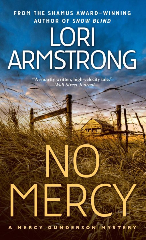 No Mercy: A Mercy Gunderson Mystery