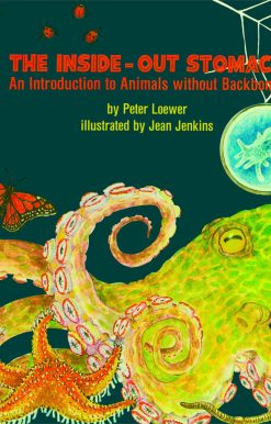 The Inside-Out Stomach: An Introduction to Animals without Backbones