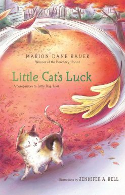 Little Cat's Luck