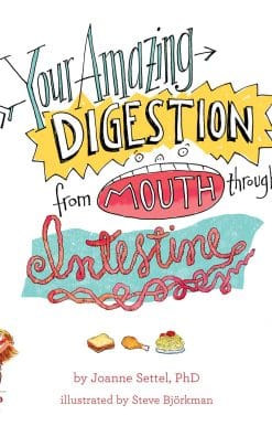 Your Amazing Digestion from Mouth through Intestine