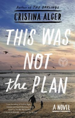 This Was Not the Plan: A Novel