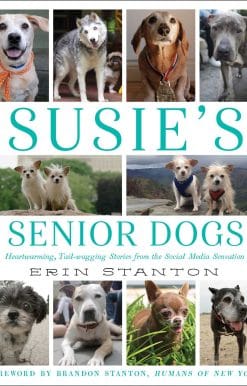 Susie's Senior Dogs