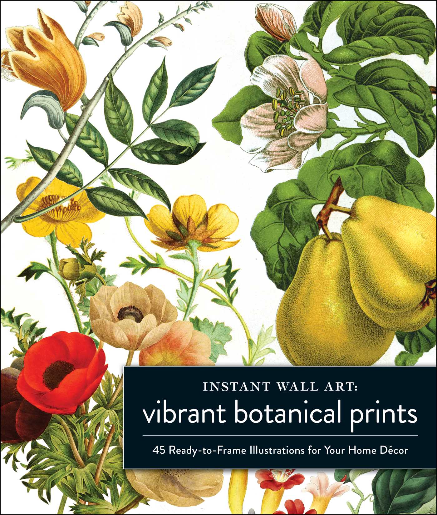 Instant Wall Art Vibrant Botanical Prints: 45 Ready-to-Frame Illustrations for Your Home DÃ©cor