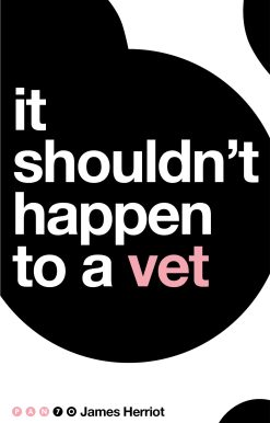 It Shouldn't Happen to a Vet