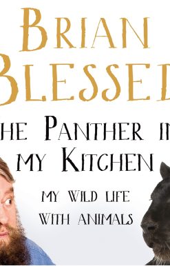 The Panther In My Kitchen