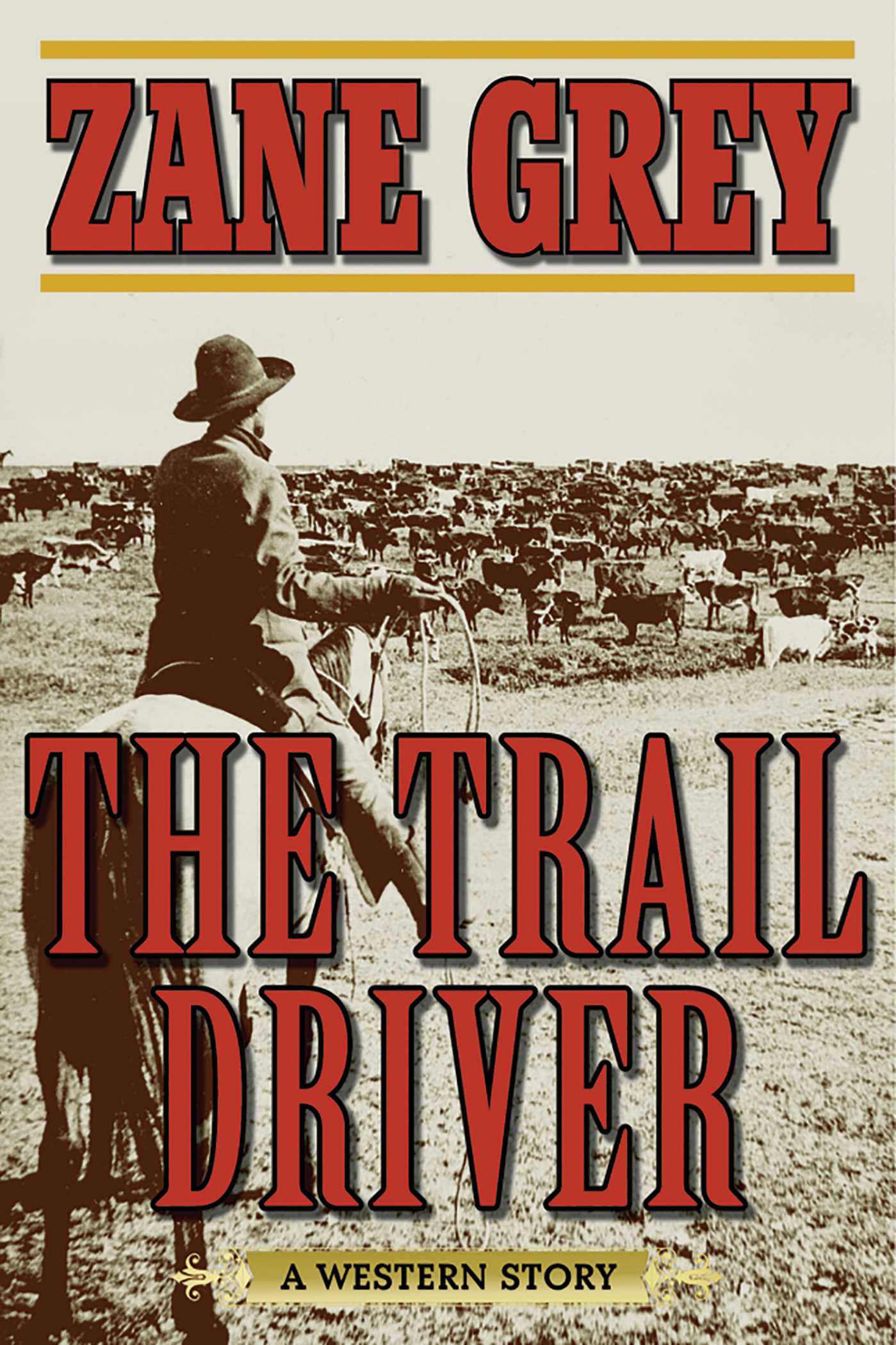 The Trail Driver: A Western Story