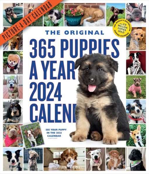 365 Puppies-A-Year Picture-A-Day Wall Calendar 2024: Absolutely Spilling Over With Puppies 3 365 Puppies-A-Year Picture-A-Day Wall Calendar 2024: Absolutely Spilling Over With Puppies