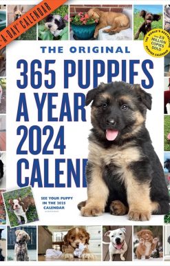 365 Puppies-A-Year Picture-A-Day Wall Calendar 2024: Absolutely Spilling Over With Puppies