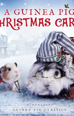A Guinea Pig Christmas Carol