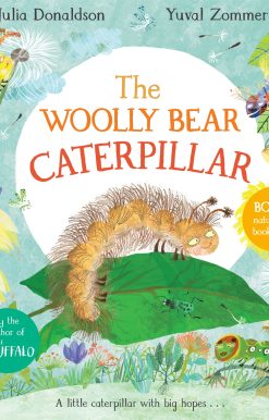 The Woolly Bear Caterpillar