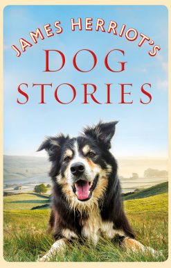 James Herriot's Dog Stories