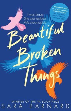 Beautiful Broken Things