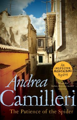 The Patience of the Spider