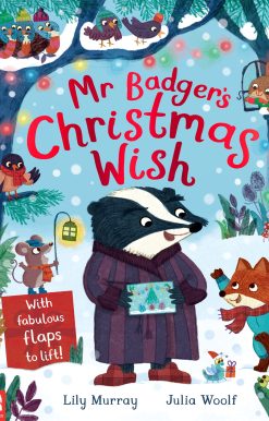 Mr Badger's Christmas Wish