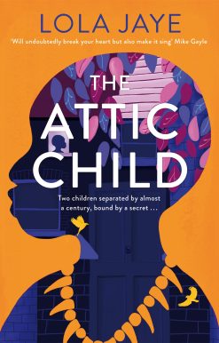 The Attic Child