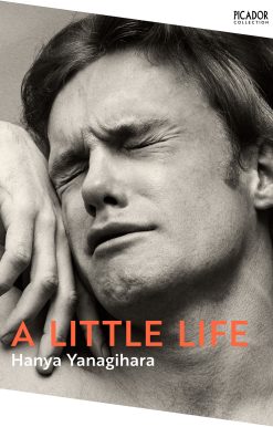 A Little Life