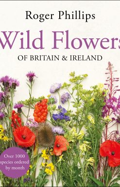 Wild Flowers