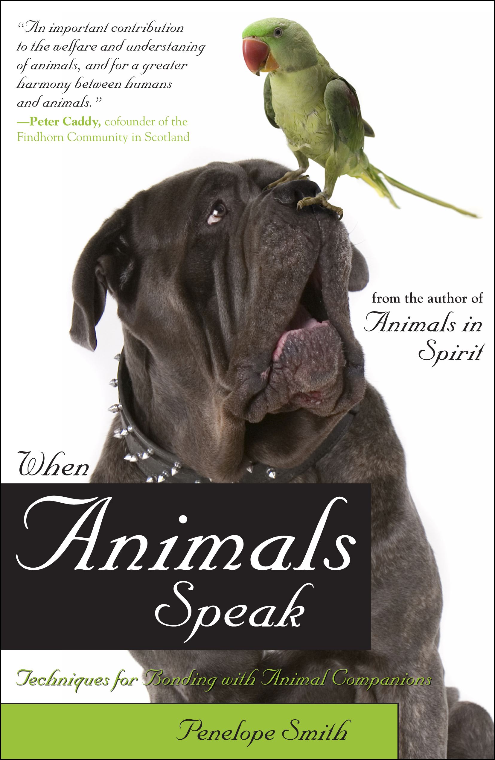 When Animals Speak: Techniques for Bonding With Animal Companions