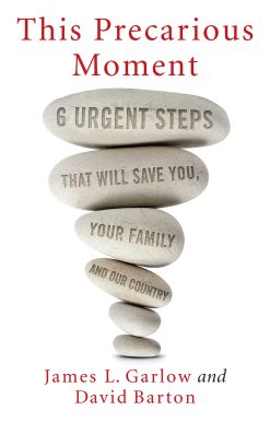 This Precarious Moment: Six Urgent Steps that Will Save You, Your Family, and Our Country