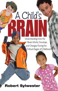 A Child's Brain: Understanding How the Brain Works, Develops, and Changes During the Critical Stages of Childhood